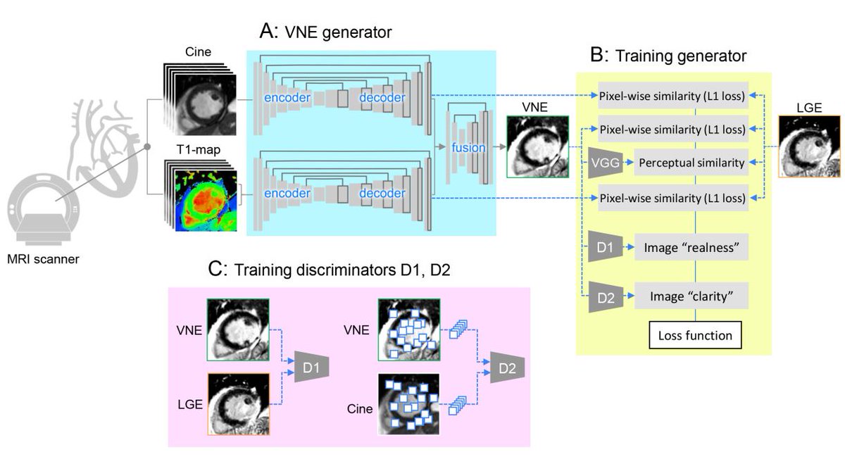 #OriginalResearch: #AI-based Virtual Native Enhancement is a contrast-free MRI alternative to LGE for tissue characterization in patients with prior #MI. <a href="/QiangZhangAiCmr/">Qiang Zhang</a> <a href="/DrMattBurrage/">Matt Burrage</a> @mayooranshan <a href="/_ragonzales/">Ricardo A Gonzales</a>#AHAJournals ahajrnls.org/3R3a5tH