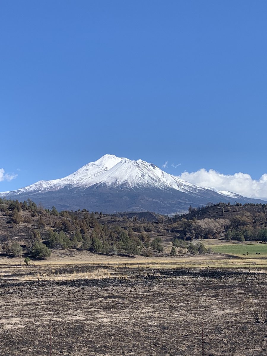 Cold Creek Inn tweet media