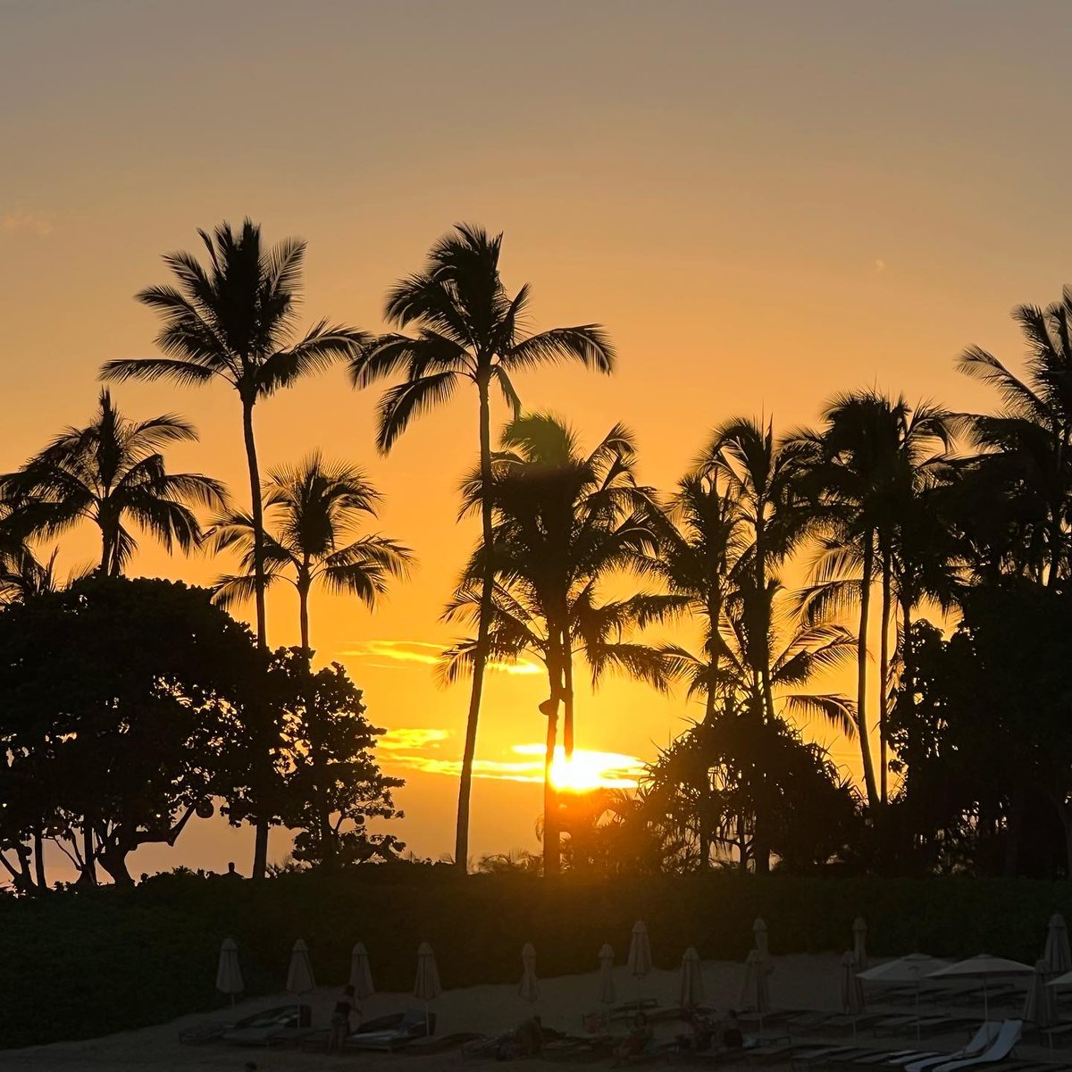 afkatm's tweet photo. Loved our time at disneyaulani ! So scenic I was able to get lots of great sunset pictures and of course some great landscapes photos as well! 

#aulani #disney #sunset #sunsets #landscapephotography #sunsetphotography #hawaii https://t.co/u7mcFiETbx