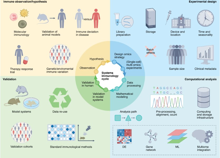 The explosion of single-cell and systems approaches in immunology risks leaving the uninitiated behind. Bonaguro et al provide a guide to #Systems_immunology that is designed for immunologists who want an introduction to the area. DOI:10.1038/s41590-022-01309-9