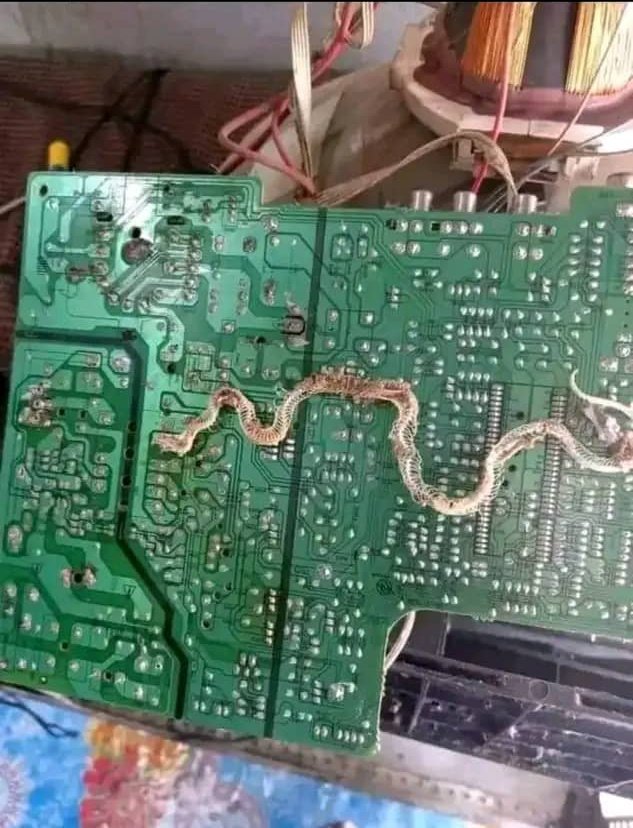 TechStars_Comm's tweet image. Python installed successfully 
Time to print()
#python3 #webdevelolment #programmingmemes #100daysofcoding
Follow our community