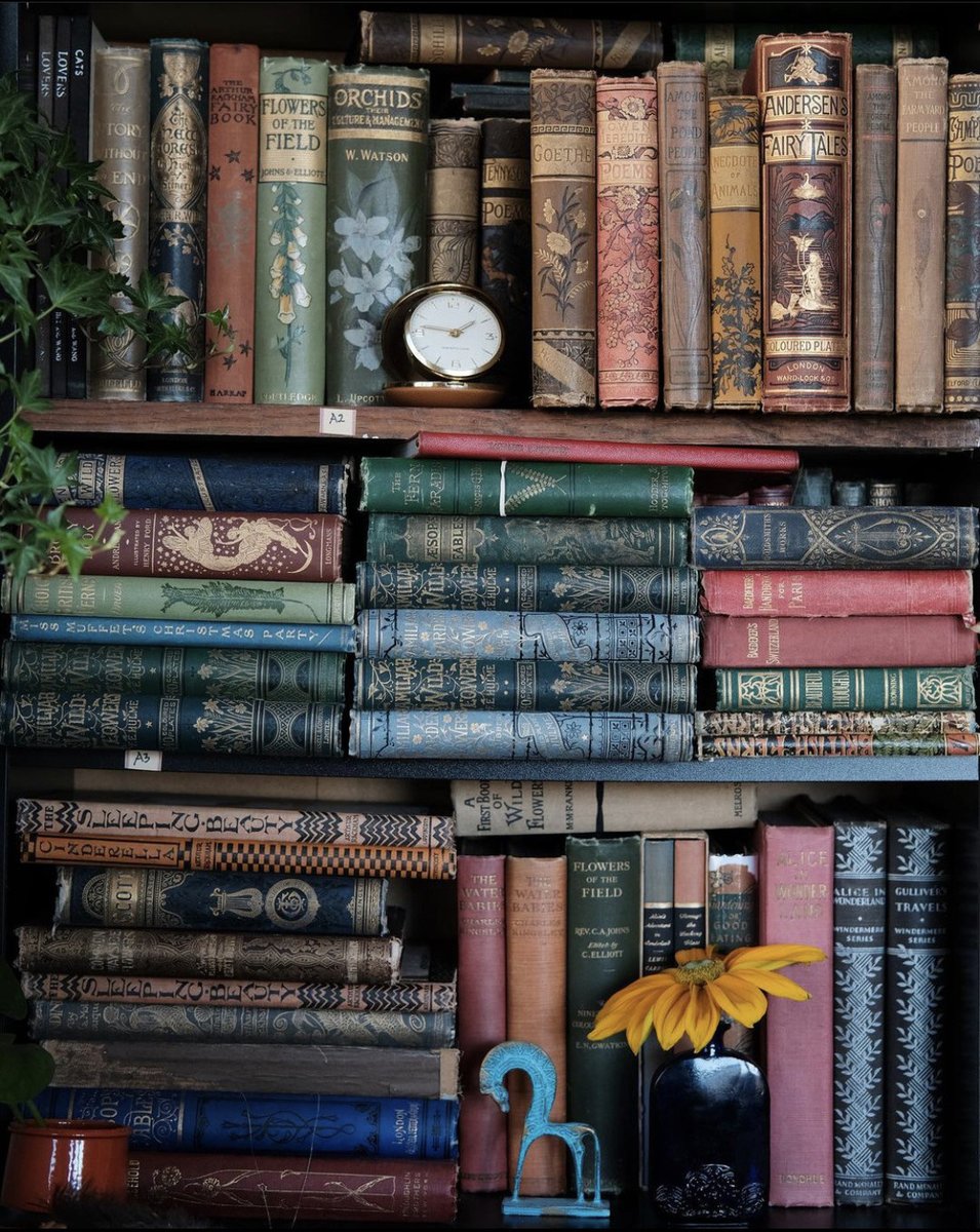 librofilos's tweet photo. La belleza de los libros https://t.co/SWQcf02N3G