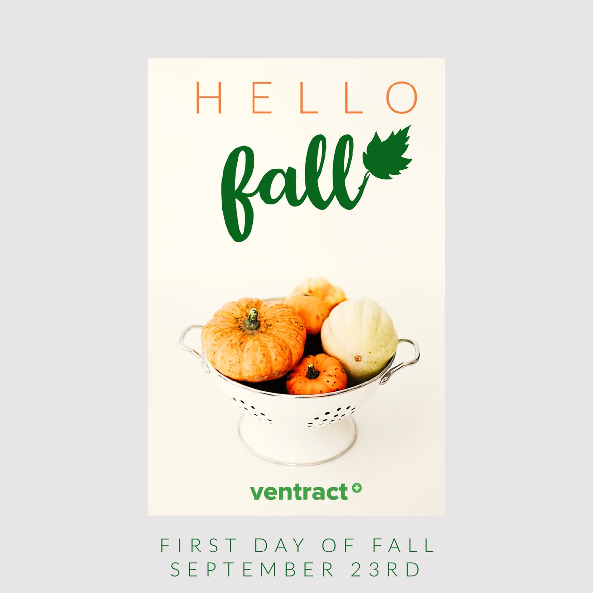 ventract's tweet image. Did you know yesterday was the last day of summer? Who is ready for Autumn?! 🍂