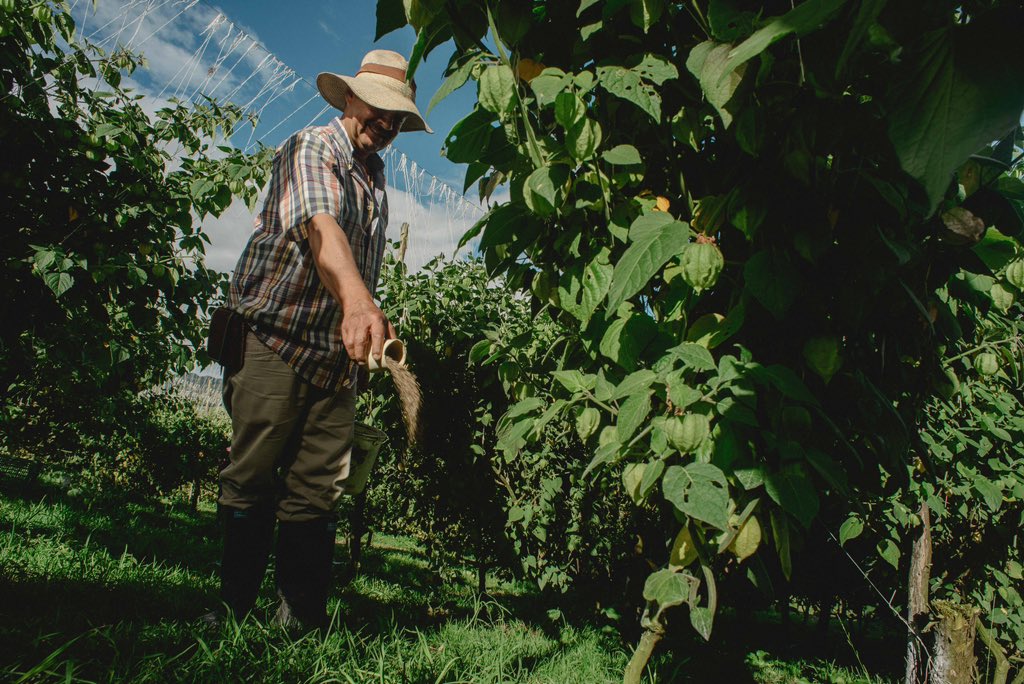 monomerossa's tweet photo. Colombia y Venezuela hoy renacen en la unión con el firme propósito de generar desarrollo en el campo, contribuyendo a la sostenibilidad de la agricultura y la seguridad productiva de las tierras colombianas. https://t.co/wZuHYV8x9X
