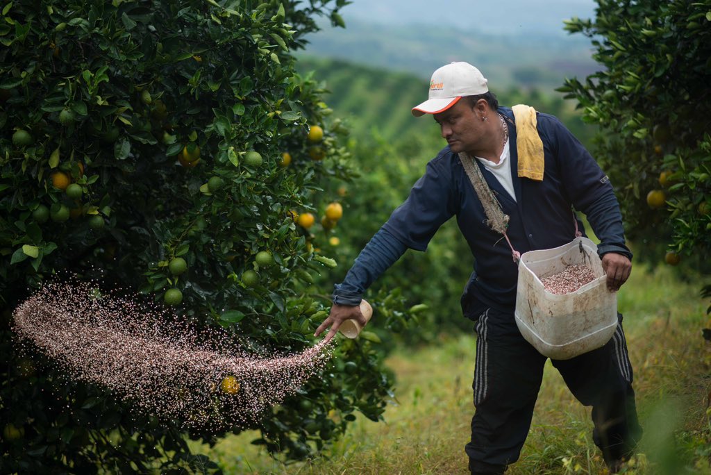 monomerossa's tweet photo. Colombia y Venezuela hoy renacen en la unión con el firme propósito de generar desarrollo en el campo, contribuyendo a la sostenibilidad de la agricultura y la seguridad productiva de las tierras colombianas. https://t.co/wZuHYV8x9X