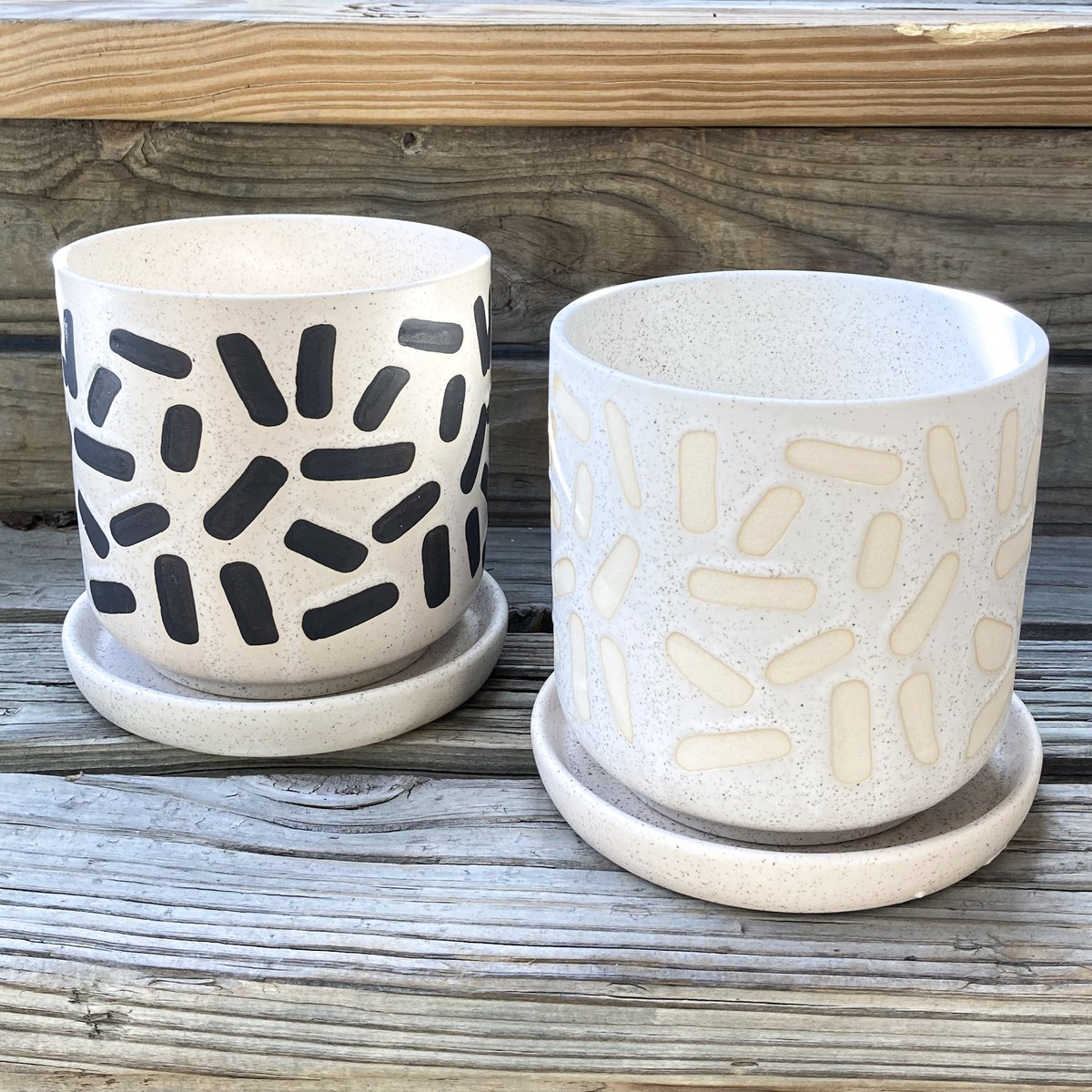 More About Philodendrons - mailchi.mp/cultivateurban…