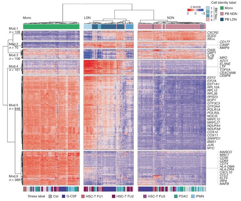 NatImmunol's tweet photo. #Neutrophils can exhibit substantial function diversity. Montaldo et al @OstuniLab perform immunophenotyping and transcriptome analysis to characterize the heterogeneity of human neutrophils, both under steady state and upon stress-induced conditions. https://t.co/qkOEUsekxJ https://t.co/JdGFaTIiXs