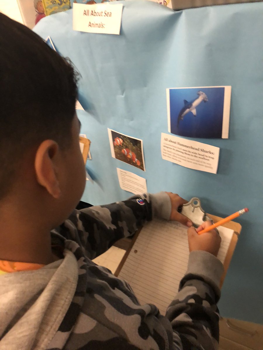 Ms. Patch tweet media