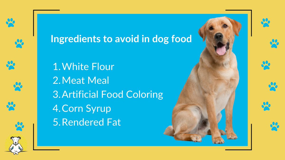 VisionaryPet's tweet photo. Ingredients to avoid in dog food
#cutedogs #twittertrends #fundogfact #dogfacts #factsofdogs #trendswithdogs #doglove #dog #dogs #doglife #doglover #dogs #thingsdogslove #puppy #puppylove #chooseyourfav #love #trending #twitterdogs #hundeliebe #doggo #ilovemydog #dogslife #pets https://t.co/u7t8IEa0E4