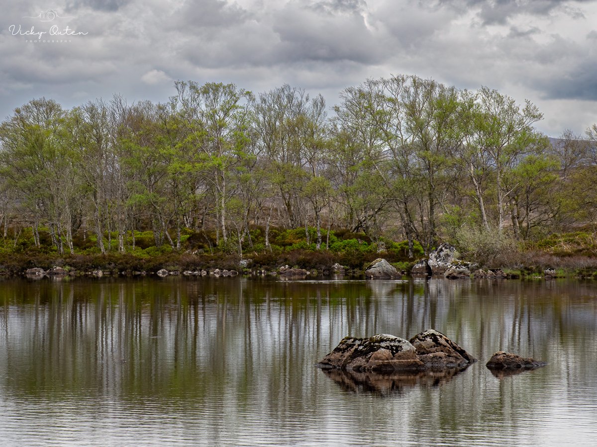 vickyoutenphoto's tweet image. Tree reflection shot, Rannoch Moor, Scotland 

#trees #reflection #treereflection #landscape #landscapephotography @ThePhotoHour @AP_Magazine @Britnatureguide @Team4Nature @NatureUK  @StormHour 

vickyoutenphotography.com