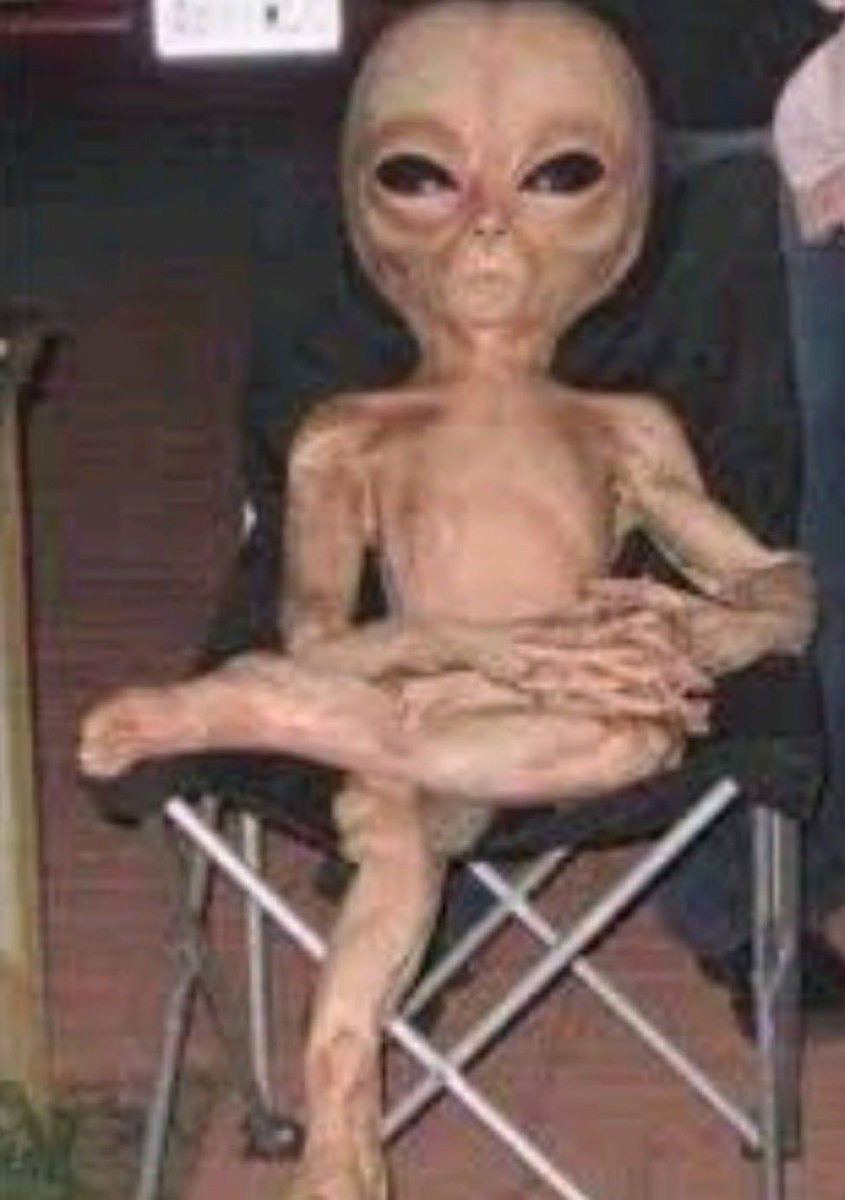 IbaiLlanos's tweet photo. Yo esperando el hilo de elrichmc https://t.co/PzObLZcAWH