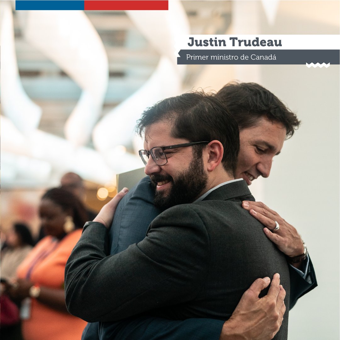 GOBIERNO DE CHILE TWITTER visual data 7