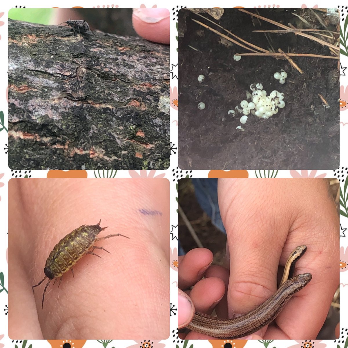 Minehead Middle tweet media