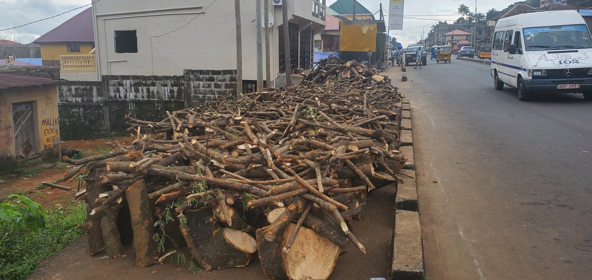 Short term GAIN 
For long term PAIN 
Why cut down trees TODAY 
And suffer from flooding &amp; landslides TOMORROW?
#EndDeforestationNow
#ClimateChangeIsReal &amp; will continue to affect lives &amp; livelihoods if we fail to collectively act now.
We have #OnlyOneEarth and we must protect it.