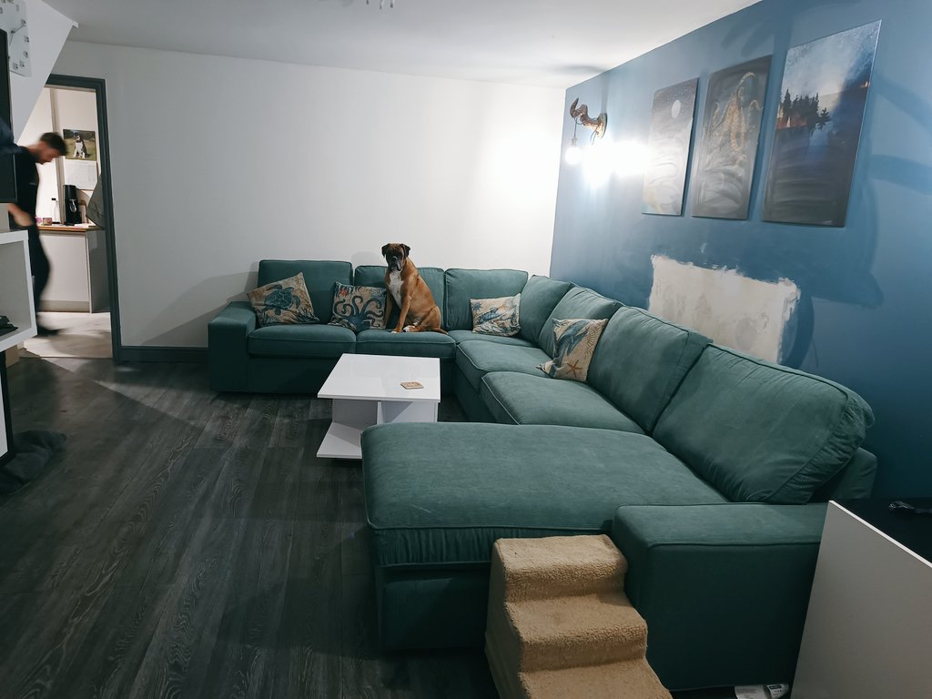 JanetBoxer's tweet image. We got a new sofa, I tested it first #sofadog #boxerdogsuk #boxer #dogs (fireplace removal in progress)