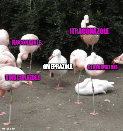 Azole meme