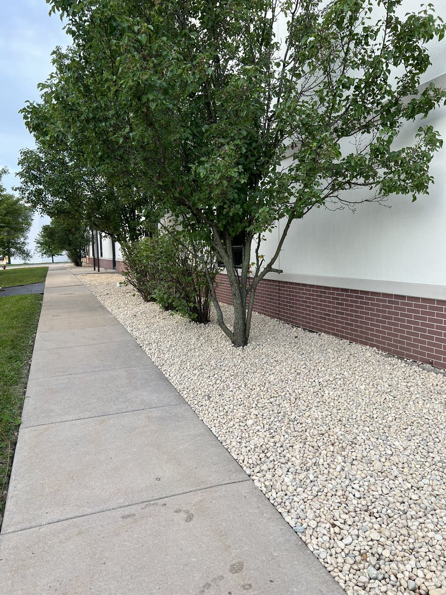 TaddGibby24's tweet photo. The 2022 ESP Beautification Project continues …..almost as clean outside as is it in inside. Special thanks 2 ESP Coach @jholla311 4 his company’s work.  Prime Cut lawn Care can take care of all your landscaping needs. #ESPSponsor #ESPTrained #ESPBeautification #MitchellBuilding https://t.co/2dI7D0GVE6