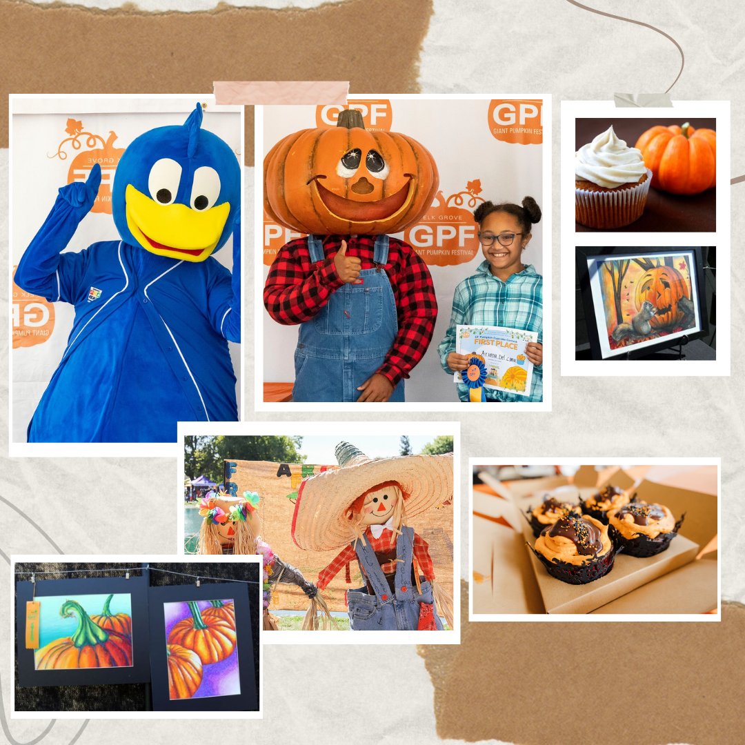ElkGroveGPF's tweet photo. 👋 Last chance to sign up for some of your favorite Giant Pumpkin Festival contests! Youth Art, Scarecrow, and Lil' Pumpkin Cupcake contests close today 9/23. 💸 WIN some cash and be part of your amazing community: https://t.co/FCD3BMvAJI https://t.co/2OqP0P3iZE