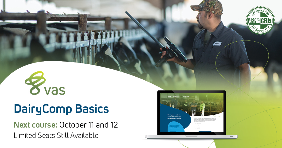 ValleyAgUS's tweet photo. Are you a consultant looking to refine your DairyComp skills? Grow your knowledge of the basic components of DairyComp and explore command writing with VAS' DairyComp Basics course.

Limited seats are available, so save yours today: https://t.co/BrkI7bMU6h https://t.co/YG79dW7JuR