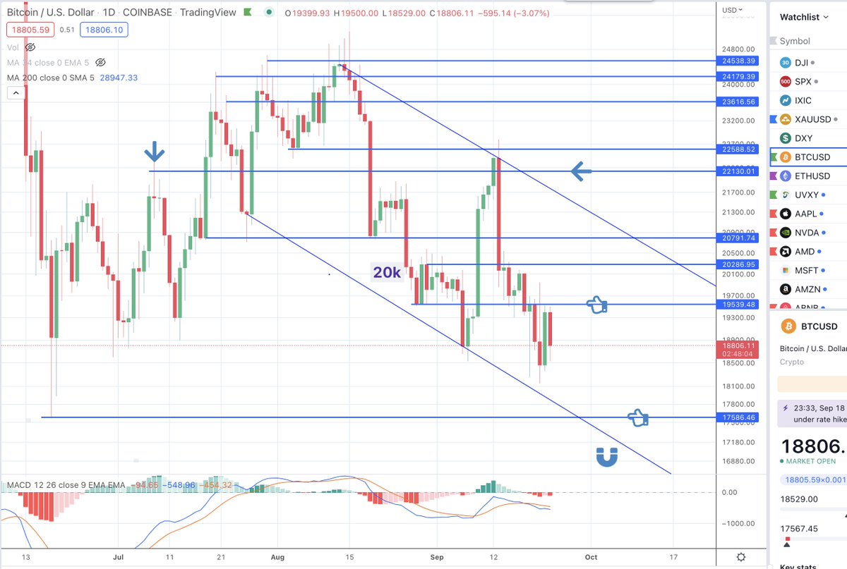 CRYPTO Damus tweet media