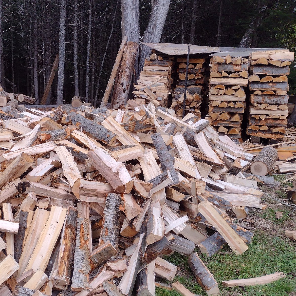 chrishallweaver's tweet image. I&apos;ve learned over the years that wood does not stack itself.
