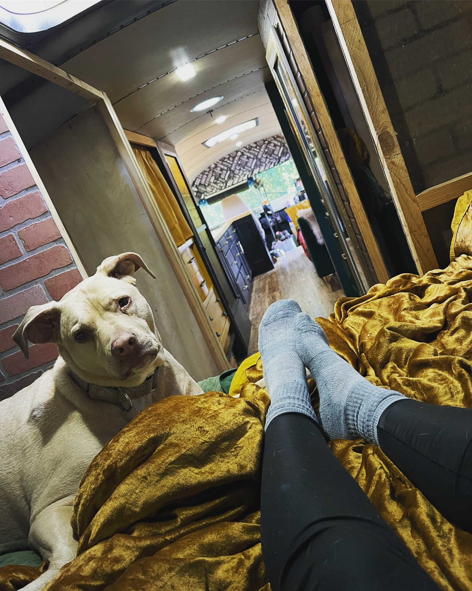 TW Pornstars EDYN BLAIR. Twitter. So excited to have the bus open for