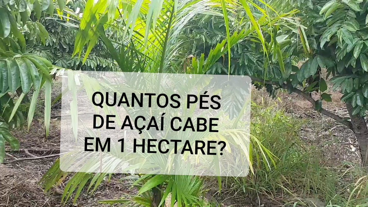 ReyJacksonMJ's tweet photo. https://t.co/AtNAbit9Dp

Vídeo sobre açaí amigos deixa o like la! Boa noite https://t.co/5gdhhfrQrb