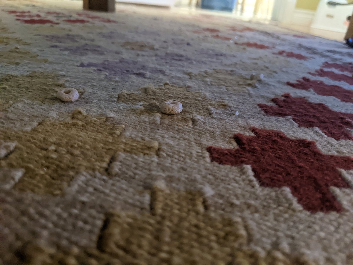 Turns out, having small children means you have #cheerios, just, everywhere. Need a cheerio? Look to the left. Need another? Look to the right.