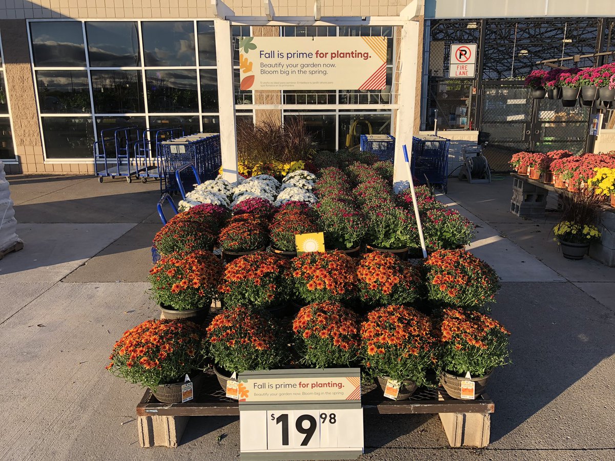 AlanF-Battlefieldfarms tweet media