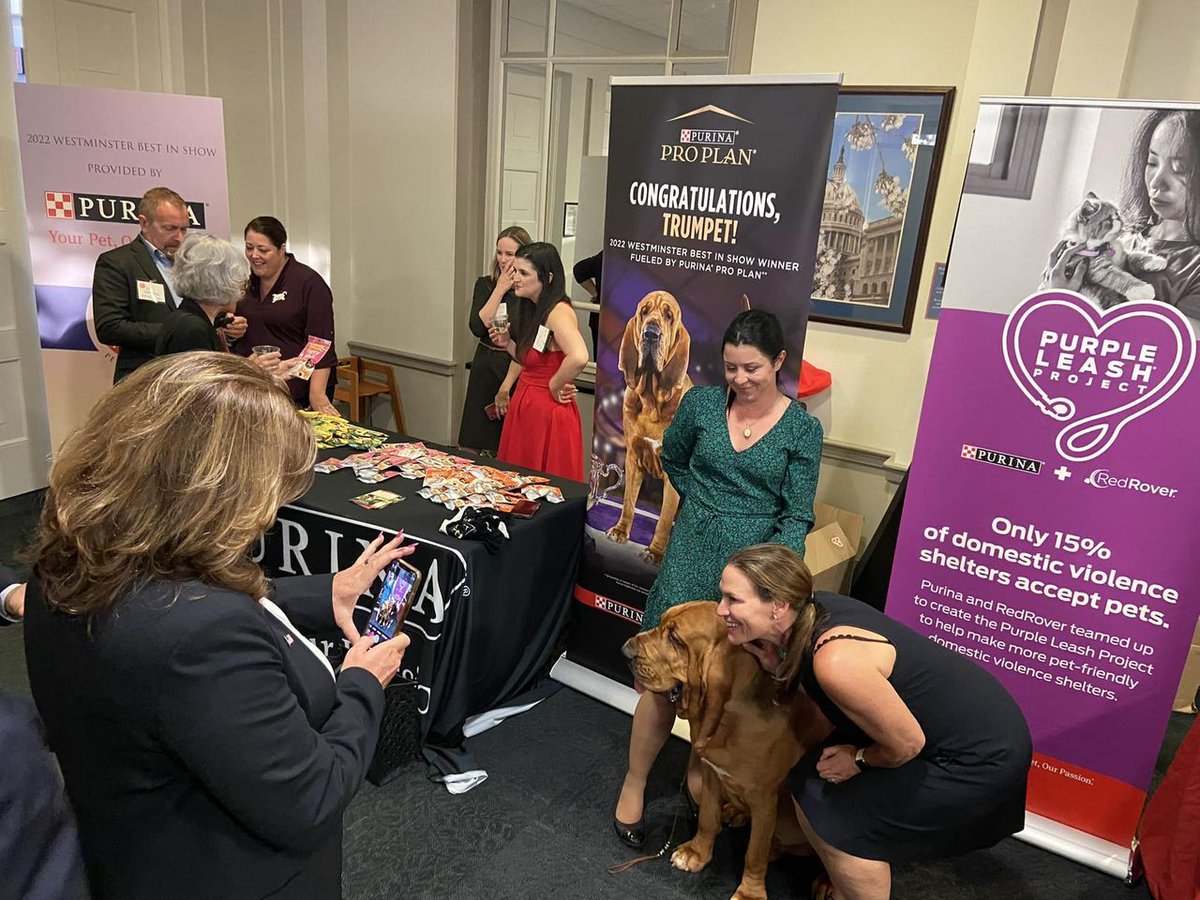 WKCDOGS's tweet photo. Our 2022 Best in Show Winner, Trumpet, made an appearance at Pet Night on Capitol Hill earlier this week to help promote the importance of pet ownership to human health and wellbeing to our elected officials. Thank you to Heather &amp; Trumpet for representing our community! @ProPlan https://t.co/TyWtRtevcY