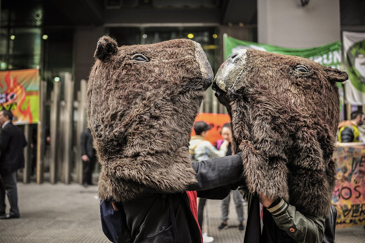 Organizaciones ambientales y sociales autoconvocadas de todo el país pidieron que se apruebe un dictamen de la Ley de #humedales, discutida en un plenario de comisiones de la Cámara de Diputados.
Fotos: Adrián Pérez