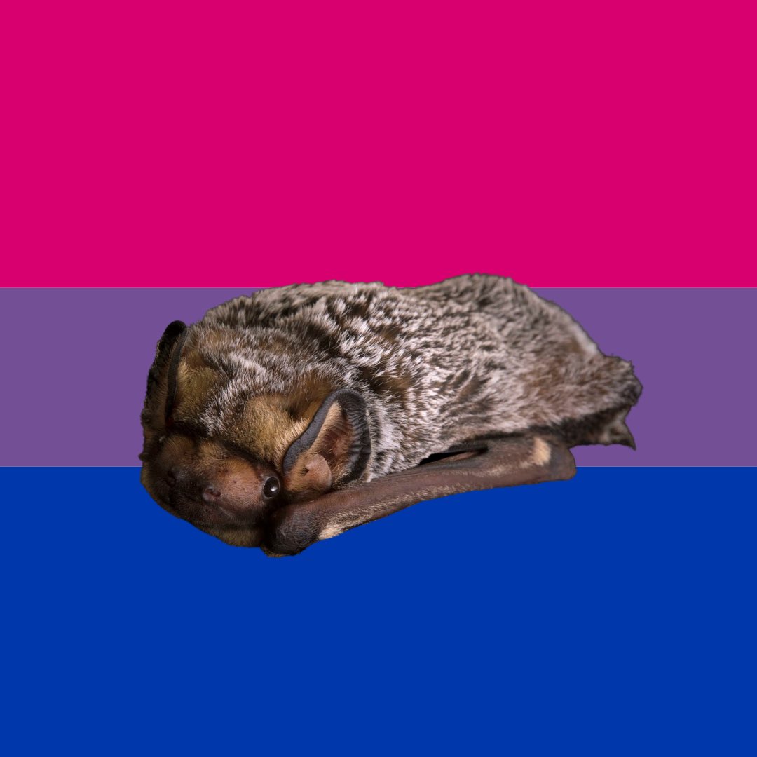 Happy #BiVisibilityDay. #BiInSci