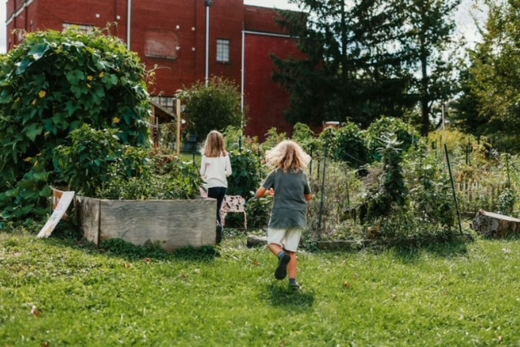 meridian_micro's tweet photo. Our local community garden serves as an extension of our 21st century one-room schoolhouse, providing numerous opportunities for cultural study and enrichment.
#schoolbeyondstandards #21stcenturylearning #communitybasedlearning https://t.co/6kpcRMJRoi
