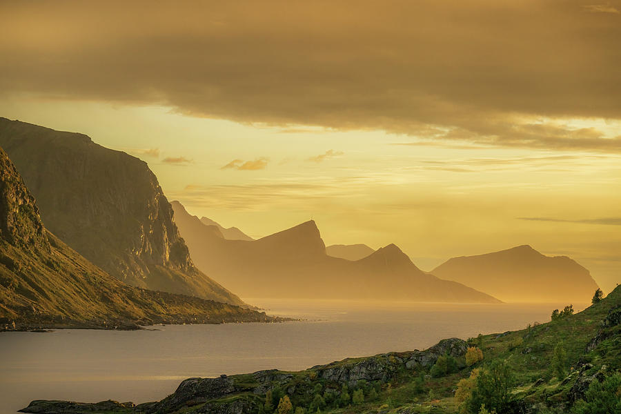 joancarroll's tweet photo. Lofoten Norway Sunset! https://t.co/hY3kvveGVM #sunset #golder #lofoten #norway #islands #ocean #fjord @joancarroll https://t.co/BArj9FTDh3