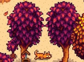 misty_horizons's tweet photo. i want to be a stardew valley cat taking a nap under a tree 🐱🍂 https://t.co/v9HICoR2CZ