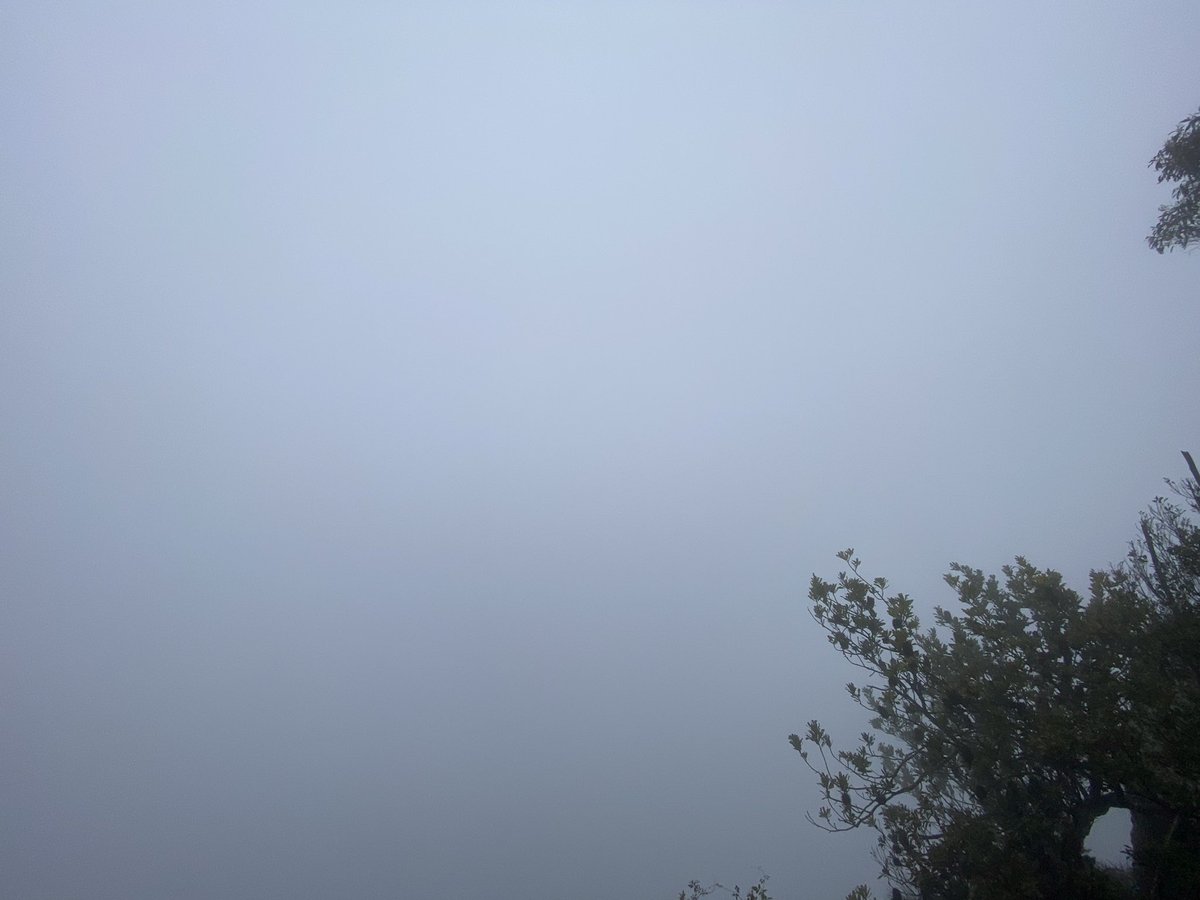 RIDE Media tweet media