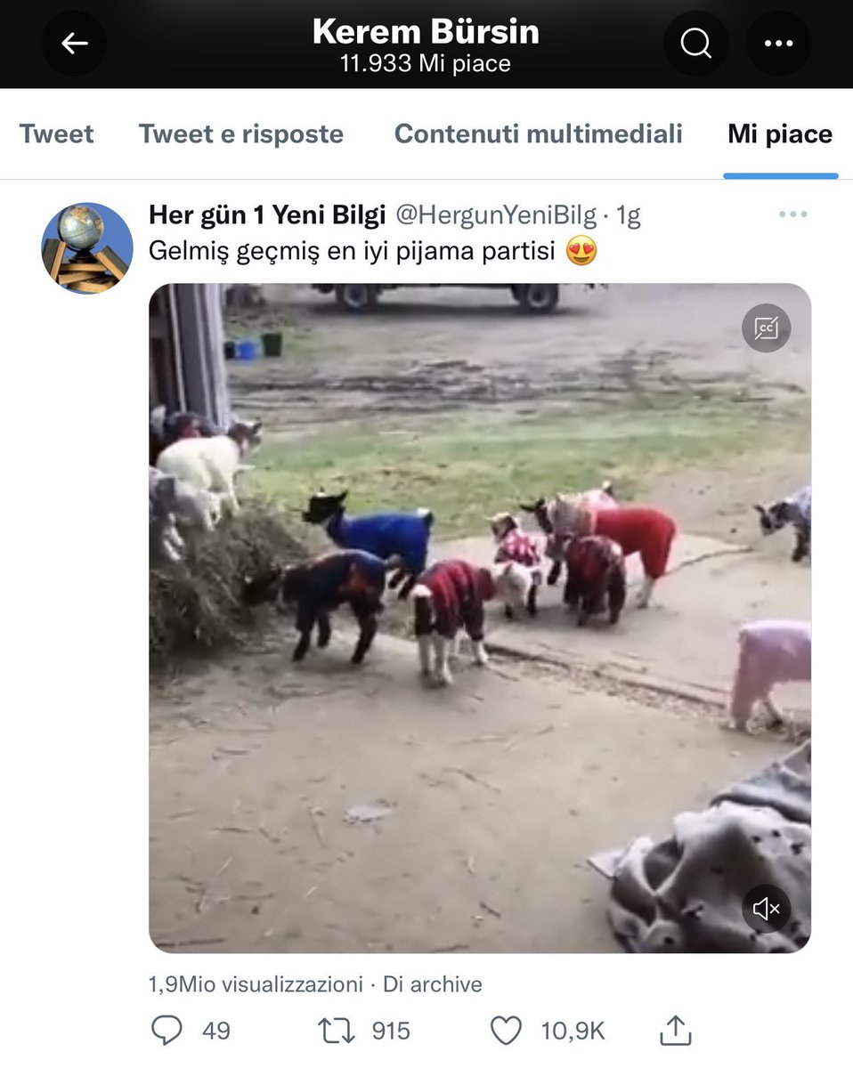 RaquelCisterna4's tweet photo. Se nota que son marido y mujer🤭🤣🤭🤣 https://t.co/qLC3MUNqhx