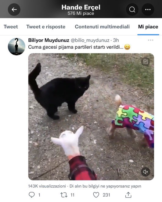 RaquelCisterna4's tweet photo. Se nota que son marido y mujer🤭🤣🤭🤣 https://t.co/qLC3MUNqhx