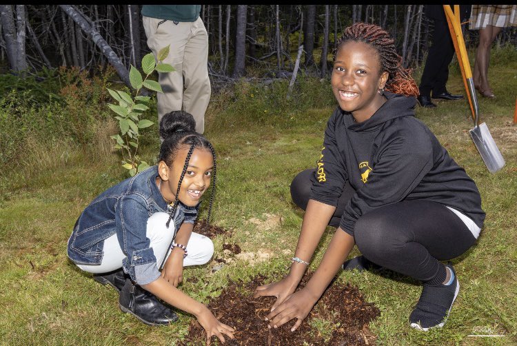 susan lee tweet media