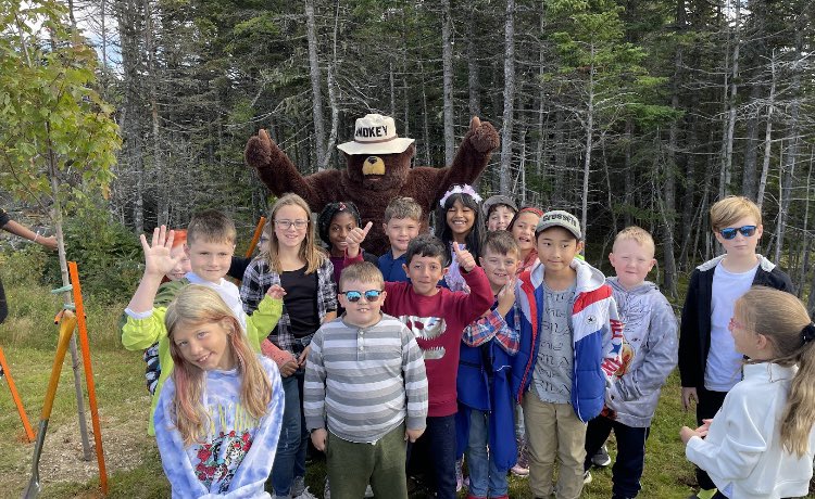 susan lee tweet media