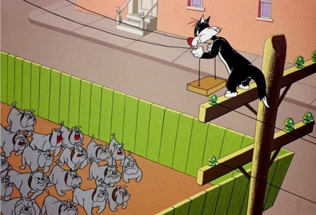 rtolenti's tweet photo. @Faitelson_ESPN Te has de sentir así cuando subes un meme o frase https://t.co/AblURrbhNd