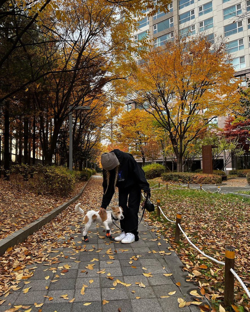 rosye_are_roses's tweet photo. ㅤㅤ
🍂'__ 𝚕𝚘𝚟𝚎, 𝚁𝚘𝚜𝚒𝚎 !

     позволь этой осенью согреть тебя;
     укрыть тёплым одеялом объятий.

     скрыть от пелены дождя и
     пронизывающего ветра, 
     позволь согреть тебя.

                   𓍢 #ily 𝚜𝚎𝚙𝚝𝚎𝚖𝚋𝚎𝚛 ' 𝟐𝟒 !! https://t.co/jantMgfxLV