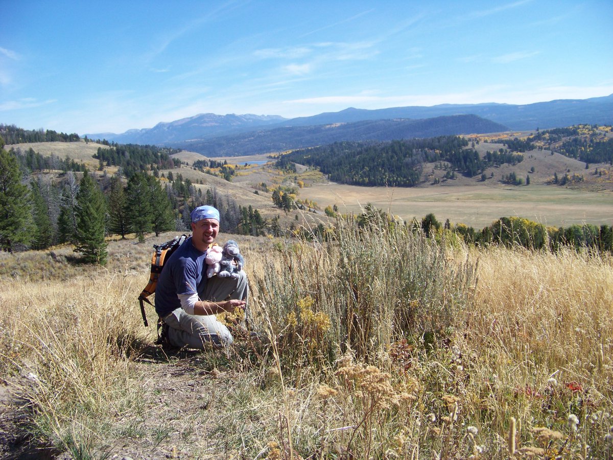 WerdFusion's tweet photo. #Wyoming https://t.co/vfula4hlos