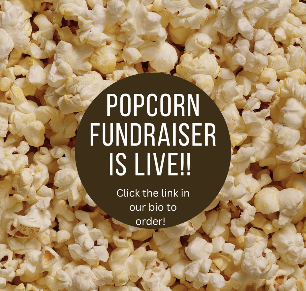 St. Kate's Softball tweet media