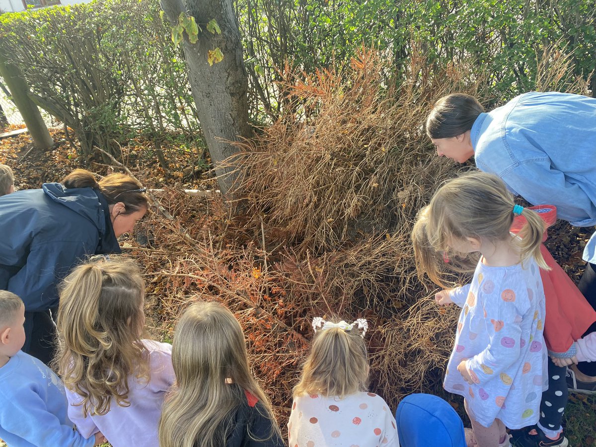 DunbarNursery's tweet photo. The Seashore children have been learning about autumn animals! We learned that hedgehogs are great swimmers and are nocturnal meaning they sleep all day! We have made our own hedgehogs and had a look for a real hedgehog in its house in our garden! #shareourlearning #makeourown https://t.co/tzPos1hlmB