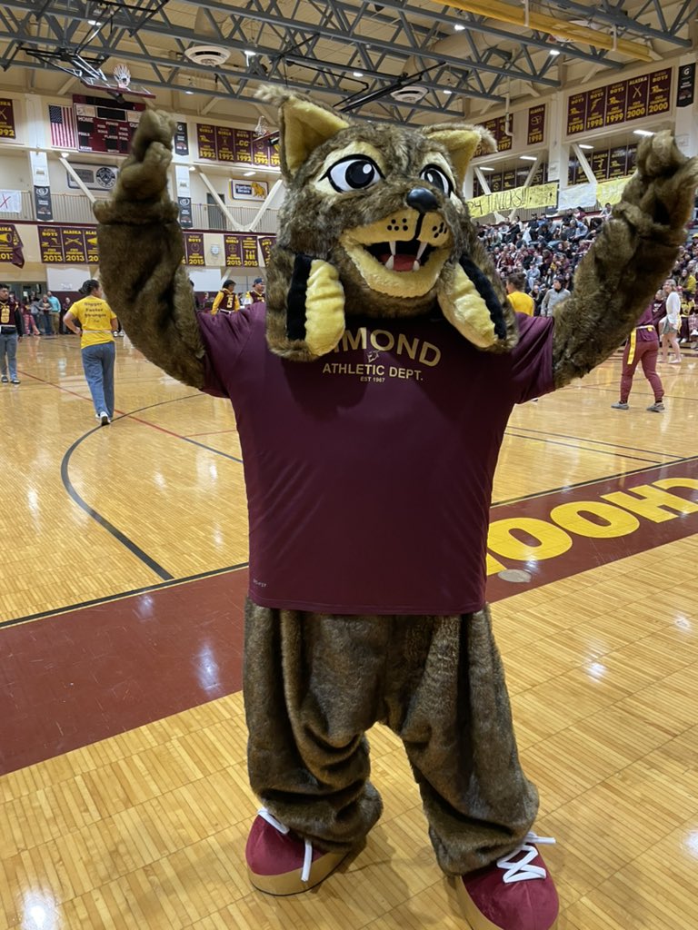 TjhHarris's tweet photo. #DimondNation Happy HC Weekend! 🎉🎊Congratulations to the Court & Good Luck to the 🏈teams on Sat! Go Lynx!😺 https://t.co/xVSjIxfwrk