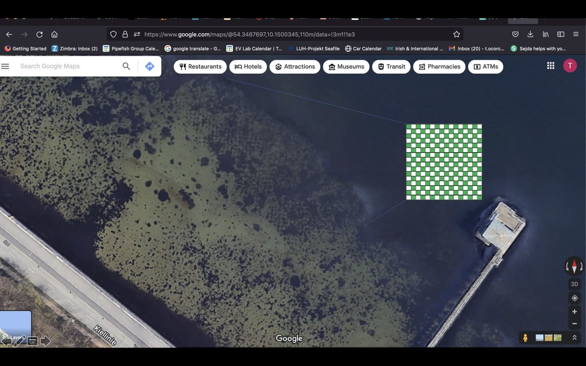 Tadhg O Corcora (@tocorcora) on Twitter photo Our very human designed checkerboard pattern of seagrass restoration in Kiel is now partially visible on Google maps! <a href="/SeaStoreBaltic/">SeaStore - Diversity Enhancement Through Seagrass</a> @MarineEvolEcol <a href="/DeepseaSlug/">Angela Stevenson</a> @HydroPhilipp @miamynta @M_Taphorn Our very human designed checkerboard pattern of seagrass restoration in Kiel is now partially visible on Google maps! <a href="/SeaStoreBaltic/">SeaStore - Diversity Enhancement Through Seagrass</a> @MarineEvolEcol <a href="/DeepseaSlug/">Angela Stevenson</a> @HydroPhilipp @miamynta @M_Taphorn