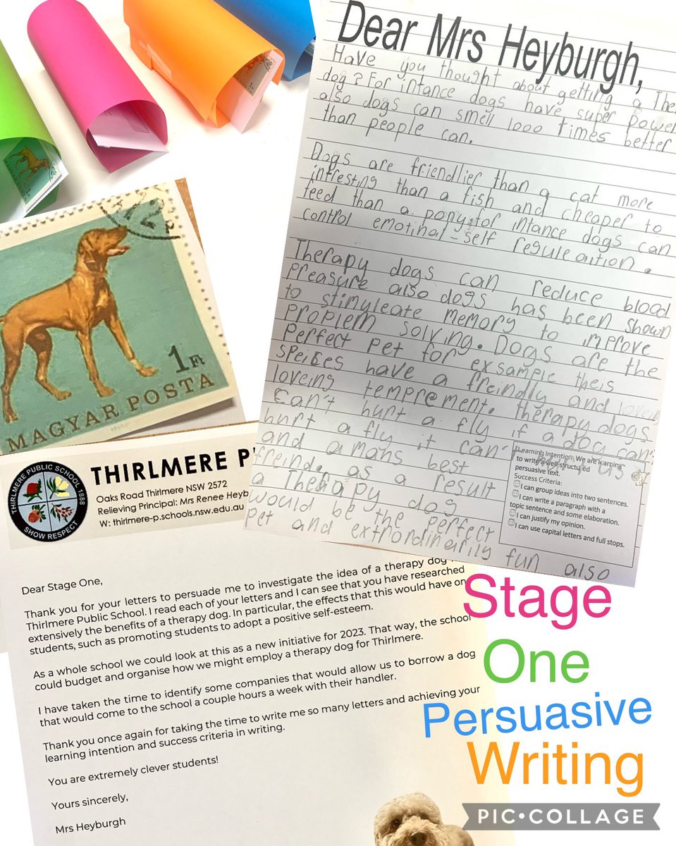 What do do 🤷🏼‍♀️ when you receive approximately 80 letters from students pleading for a therapy dog 🐶<a href="/ThirlmerePS/">Thirlmere P.S.</a> #authenticaudience