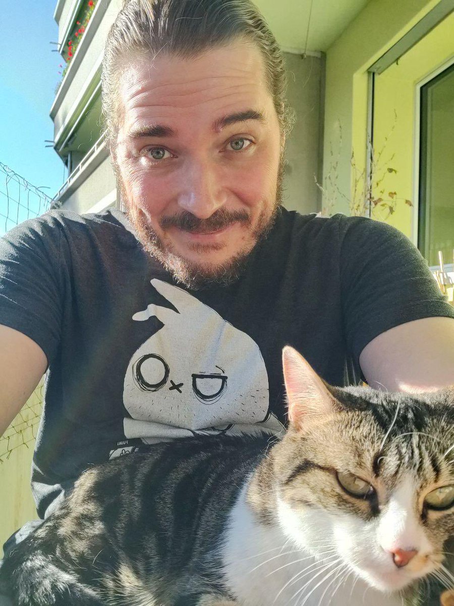 Shark Bay Dolphin Research tweet media