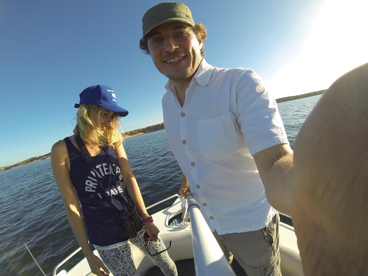 Shark Bay Dolphin Research tweet media